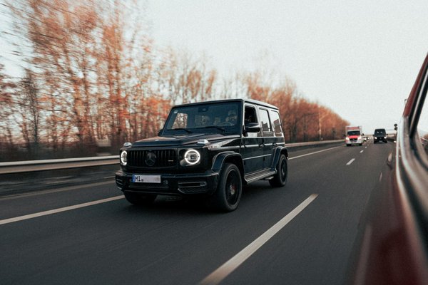 So sorgst du für optimale Balzunterstützung bei Zebrafinken im Käfig!